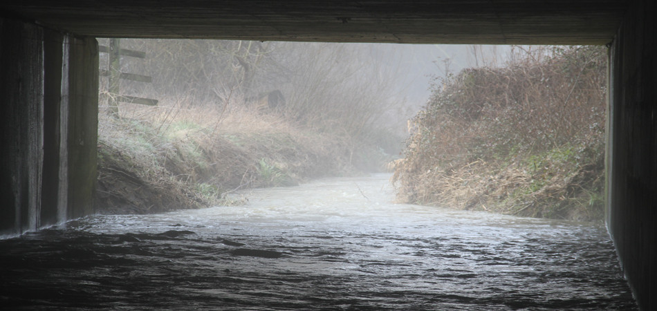 Ouzel Tributary